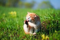 元銀行員が分析「節約好きな人は本当は貧乏？」陥りやすい罠とは