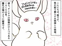 謎の行動...もしかして几帳面!? 垣間見るチンチラのしぐさが可愛い【チンチライフ17話】