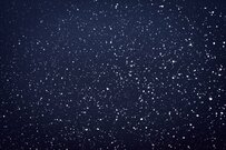 切り絵作家が「最近の力作」を公開　想像を超える作品に「言葉が出ない」と反響が続出