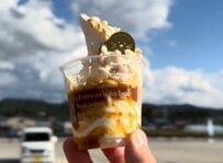 新潟県の道の駅で味わう「うめ味噌ソフト」とは？革命的なスイーツに「めっちゃ濃厚」「風味がしっかり」
