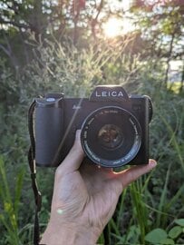 ヤフオクで「1円のオールドレンズ」を使用　60年以上前のレンズとは思えない描写に「惚れた」「いい買い物」
