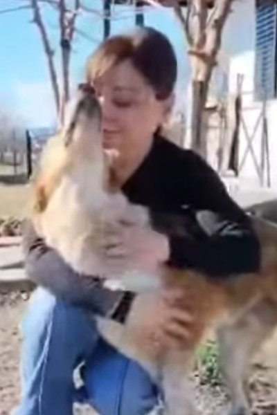 出所：@<u><a href="https://www.instagram.com/greekanimalrescue/p/DZZMpxsFB6M/" target="_blank">greekanimalrescue</a></u>