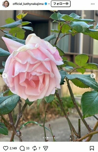 キャシー中島のInstagram投稿