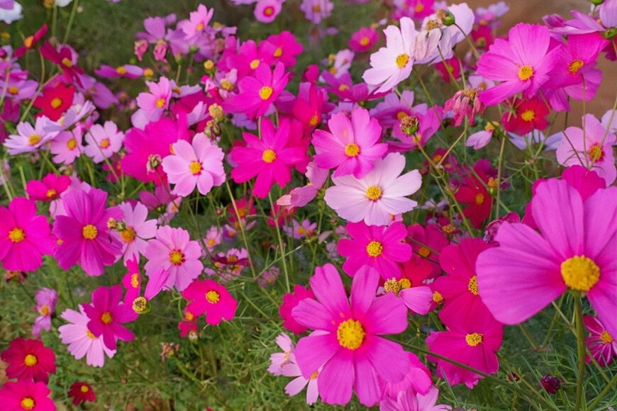 Minimalmint/shutterstock.com