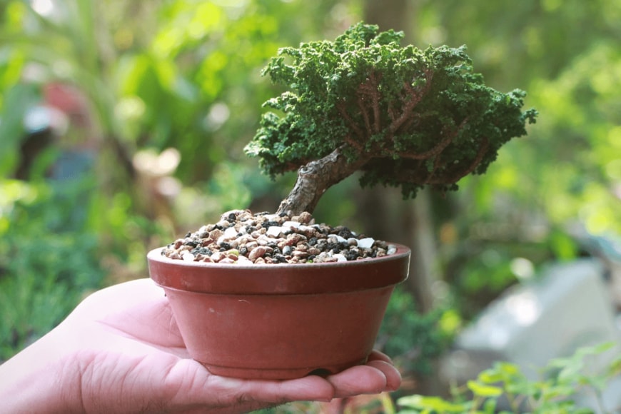 PAKAPORN YAMANON/istockphoto.com