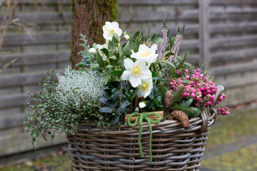 Natalia Greeske/Shutterstock.com