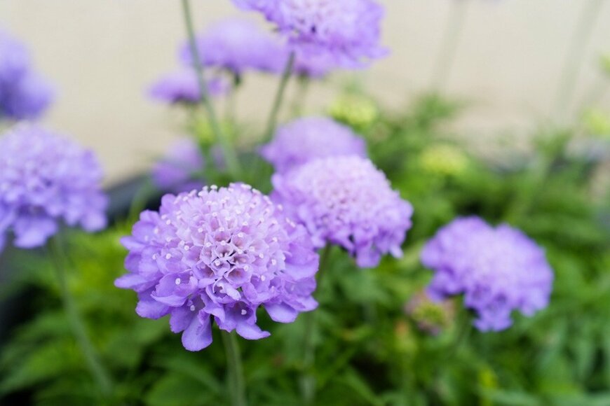 LFO62/istockphoto.com