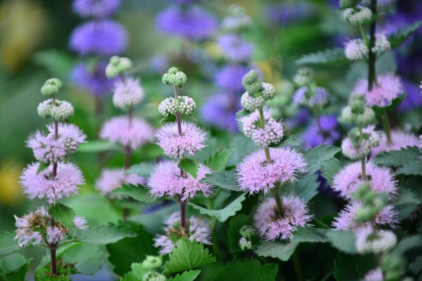 magicflute002/istockphoto.com