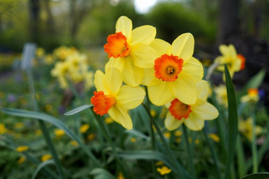 demm28/shutterstock.com