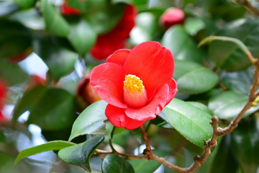 Meindert van der Haven/istockphoto.com