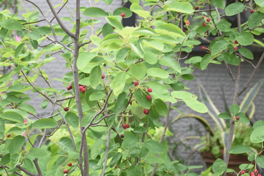 undefined undefined/istockphoto.com