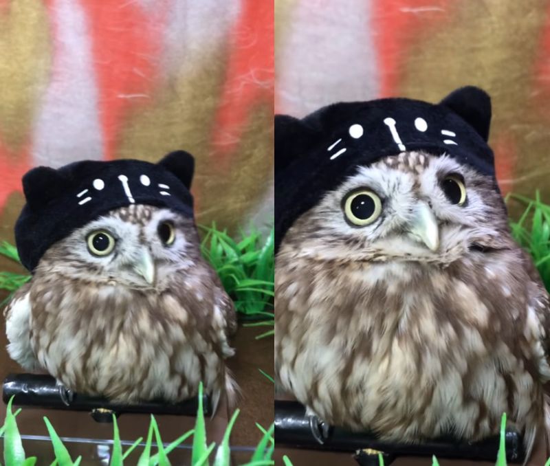 出所：@cr8673.hiro