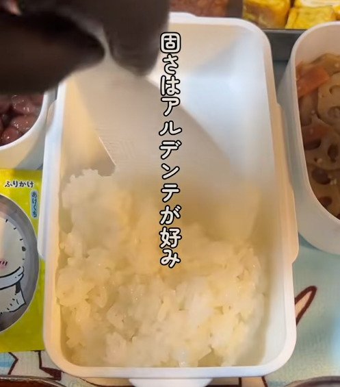 「芸術のよう！」元料理人の父が米にうるさい娘に作る白米に合うおかず弁当が彩り豊かでおいしそう