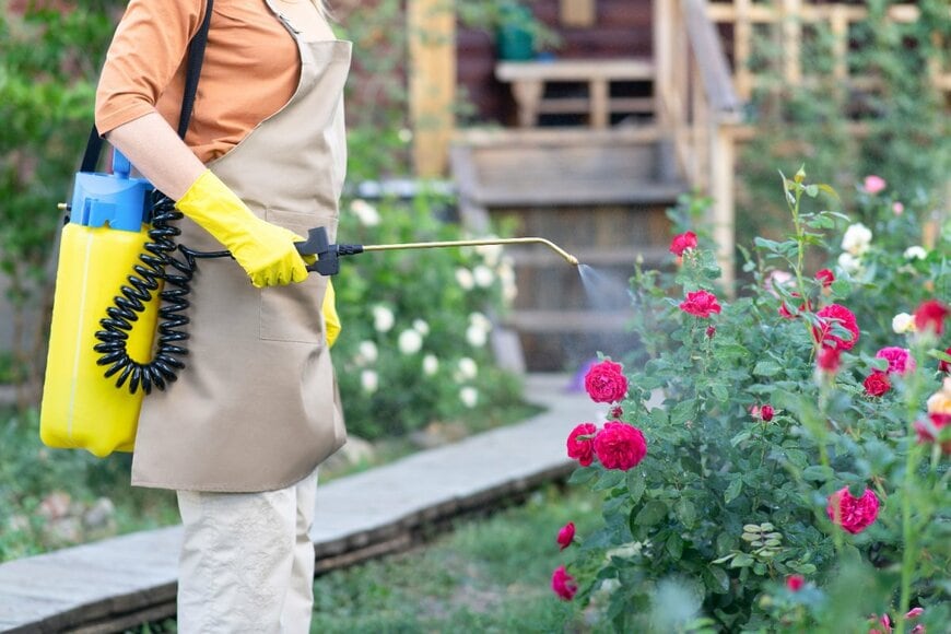 spb2015/shutterstock.com