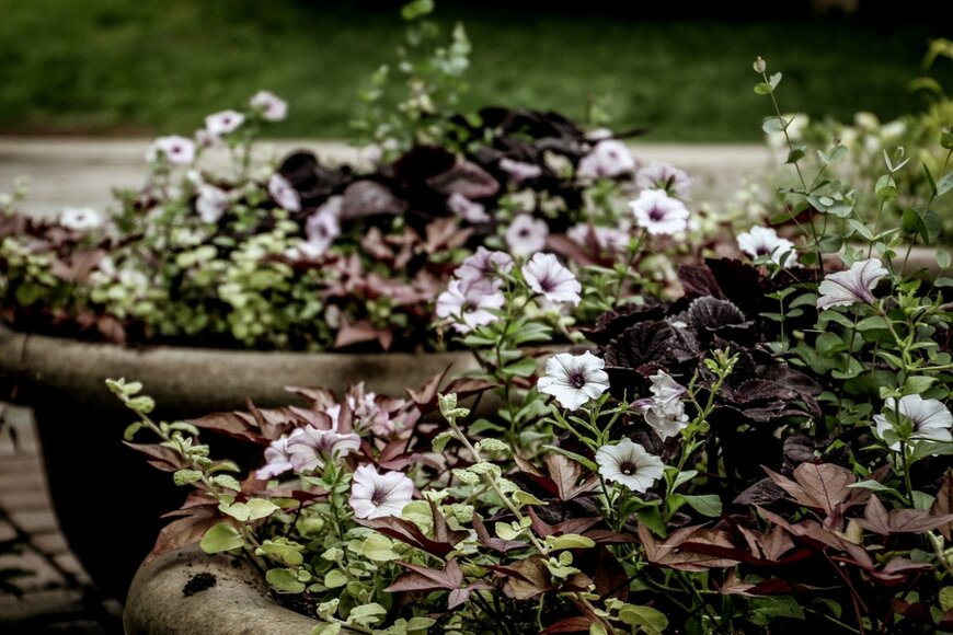 My pictures/istockphoto.com