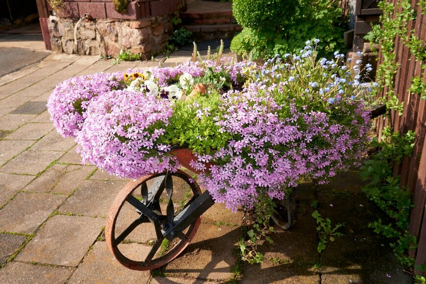 Horst-Koenemund/Shutterstock.com