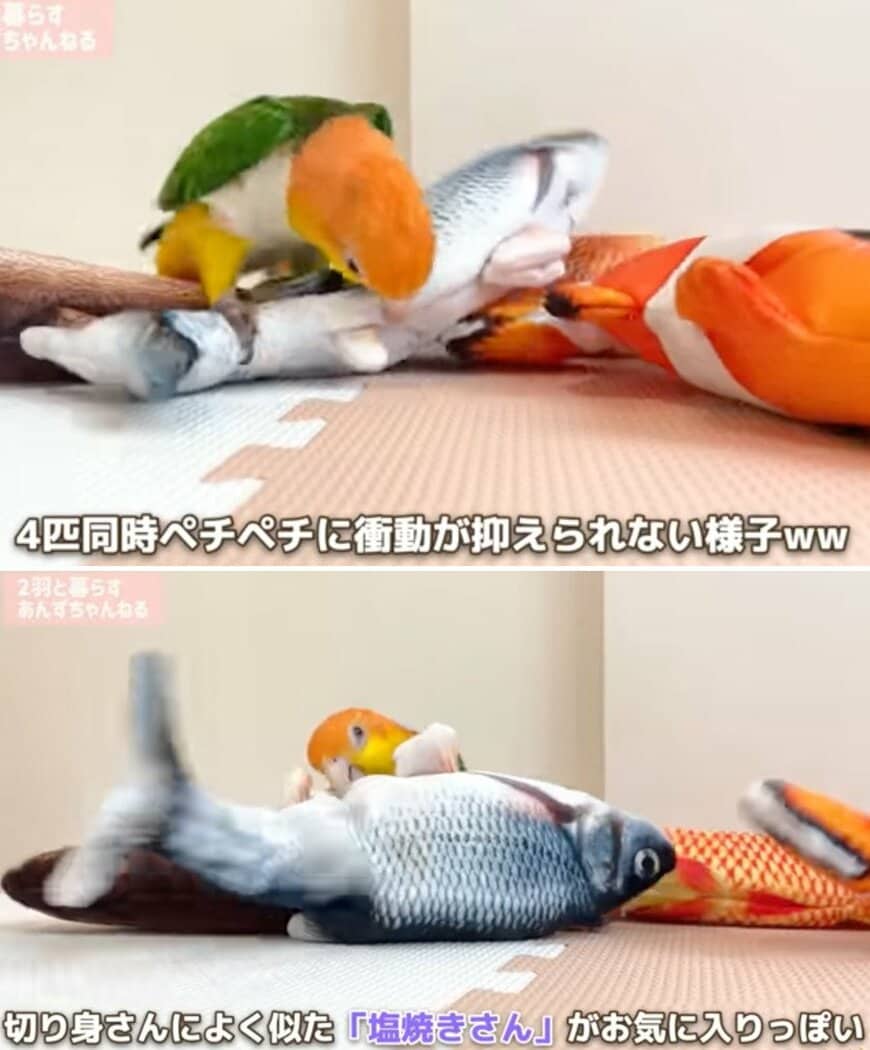 出所：@anz_omomiri