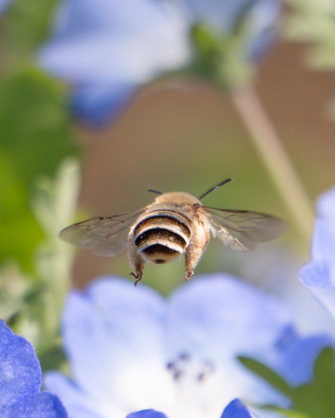 出所：@nagatani_nonoko