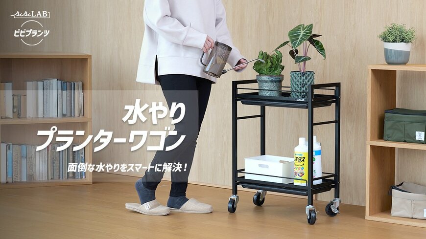 観葉植物の根腐れ対策にもいいかも！観葉植物専用〈プランターワゴン〉がおしゃれで便利で最高！なら水やり作業も劇的にスマート化！