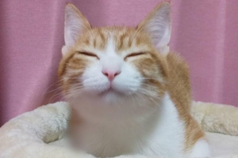 出所：@mero627puri914