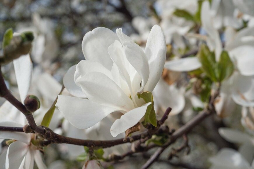 proud_natalia/istockphoto.com