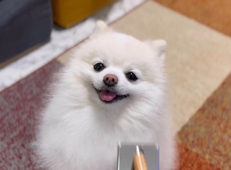 出所：@boku_ponchan