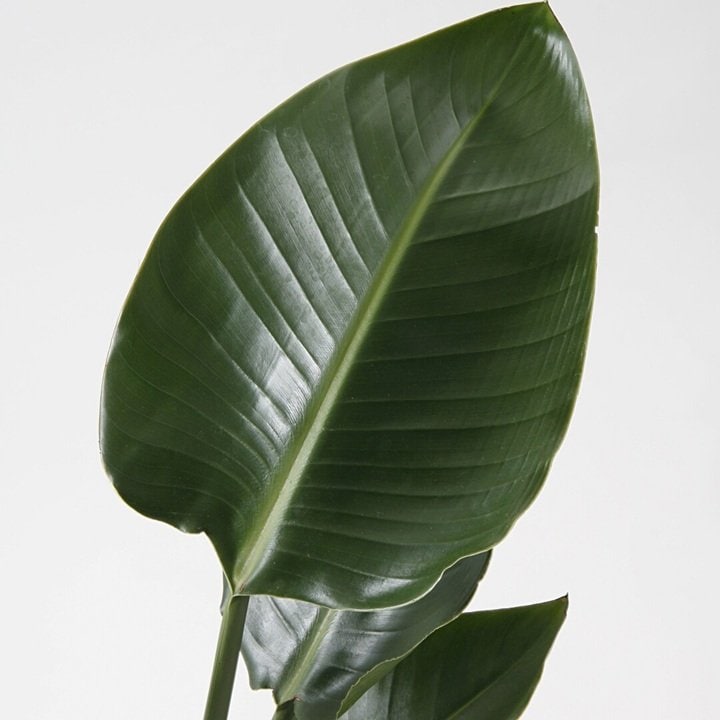 画像出所：無印良品公式オンラインストア