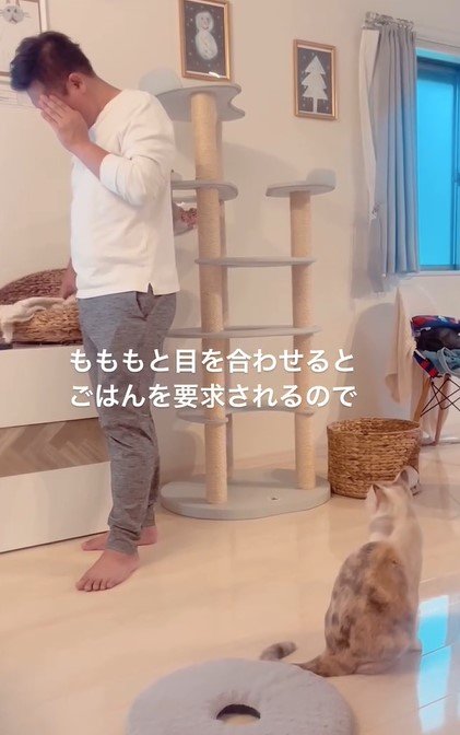 飼い主と猫