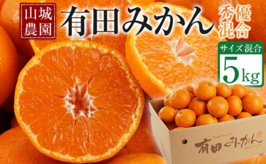 出所：<u><a href="https://www.furusato-tax.jp/product/detail/30366/4932458" target="_blank">ふるさとチョイス 山城農園 和歌山県産 有田みかん 5kg</a></u>