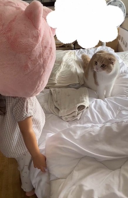 猫と子供
