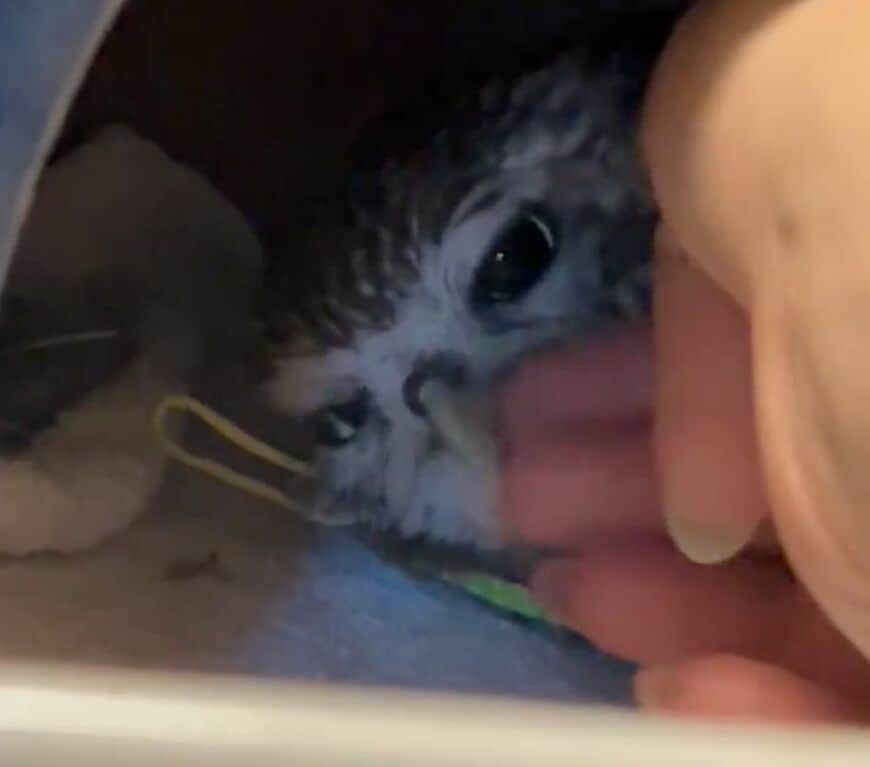 投稿動画のワンシーン