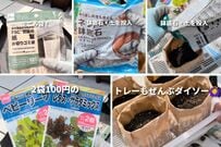 【100均DIY】超お手軽　ダイソーの“紙製水切りごみ袋”でできる「サラダ菜園」に思わず目を疑う