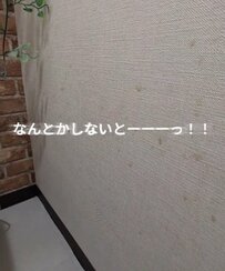 築30年中古マンションの〈トイレの壁〉を…2児ママが貼るだけDIY→高級感溢れる〈ホテルライクな空間〉に大変身！