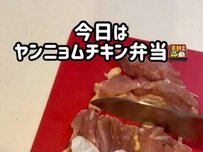 【旦那さんへのお弁当】彩り豊かなおかずが入った”ヤンニョムチキン弁当”が話題！チキンもご飯もゴマたっぷり
