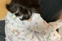 4歳娘がパパに涙の訴え「眠れないほど悲しい理由」にX民もほっこり