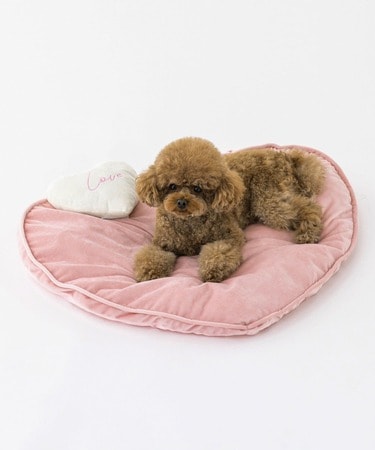 猫のバレンタイン撮影に」3COINS「1320円のハートベッド」は再入荷