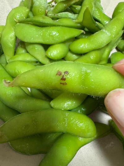 枝豆の表面に偶然見つけた顔