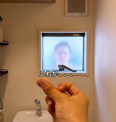 投稿の画像