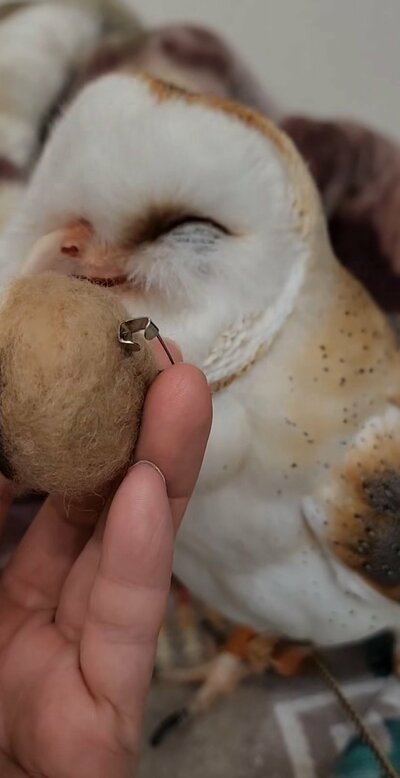 投稿動画のワンシーン