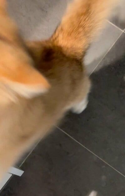 「敵」？に向かってジャンプ！