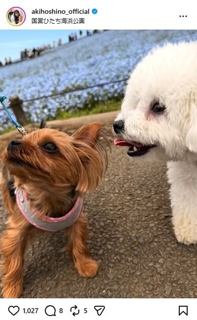 ほしのあきのInstagram投稿