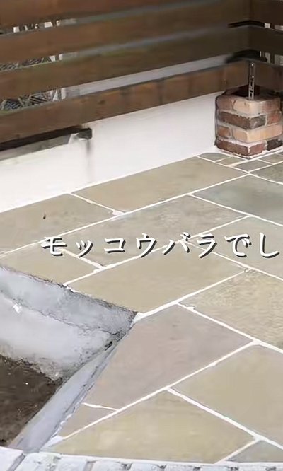 投稿動画のワンシーン