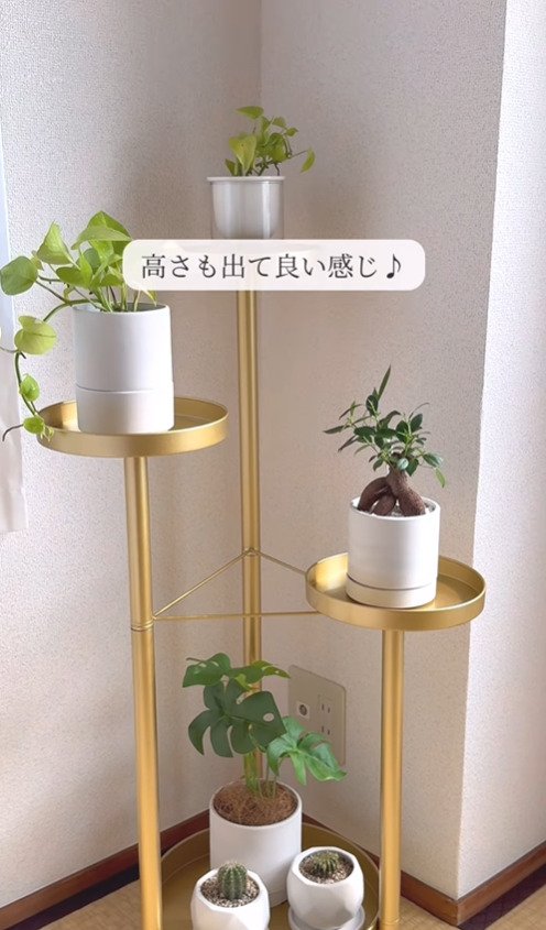 出所：@asami_kurashi