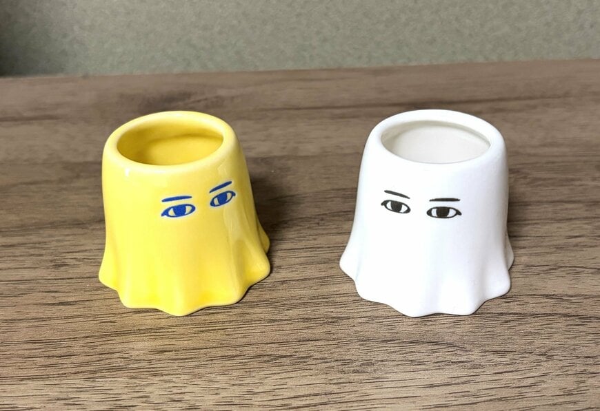 筆者撮影（セリア、フリーカップ エジプトファン）