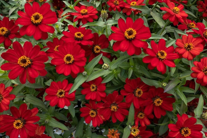 RobertSchneider/istockphoto.com