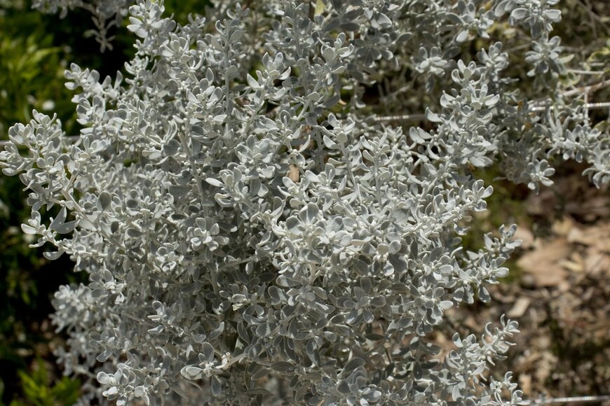 alybaba/shutterstock.com