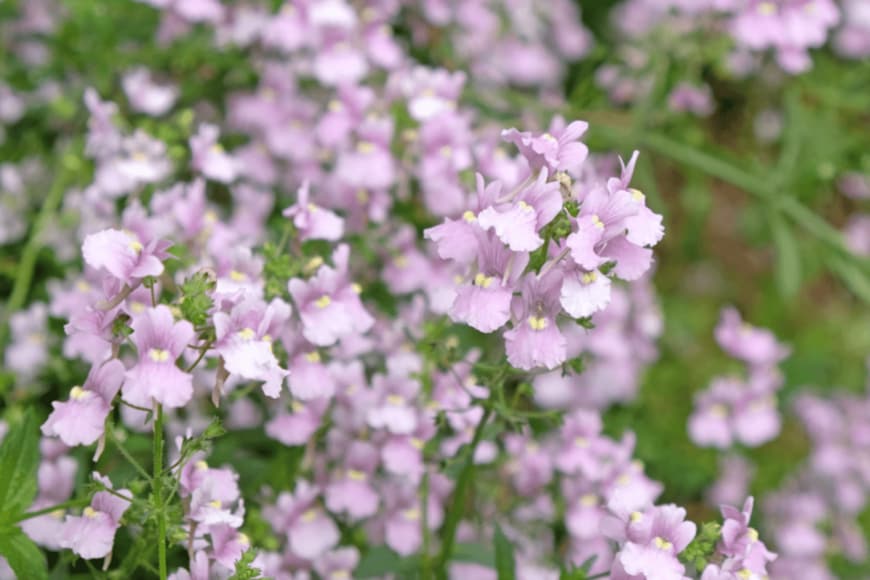 Hana-Photo/stockphoto.com