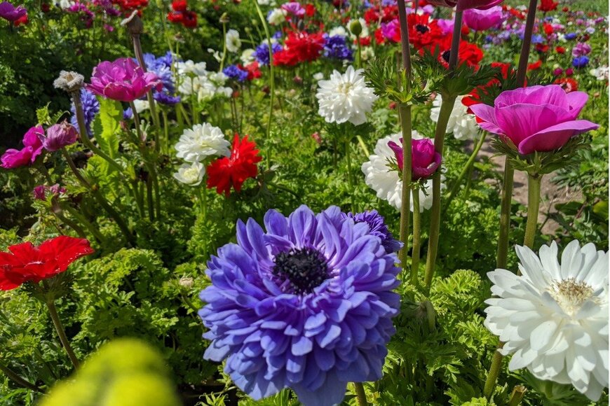 osherro/istockphoto.com