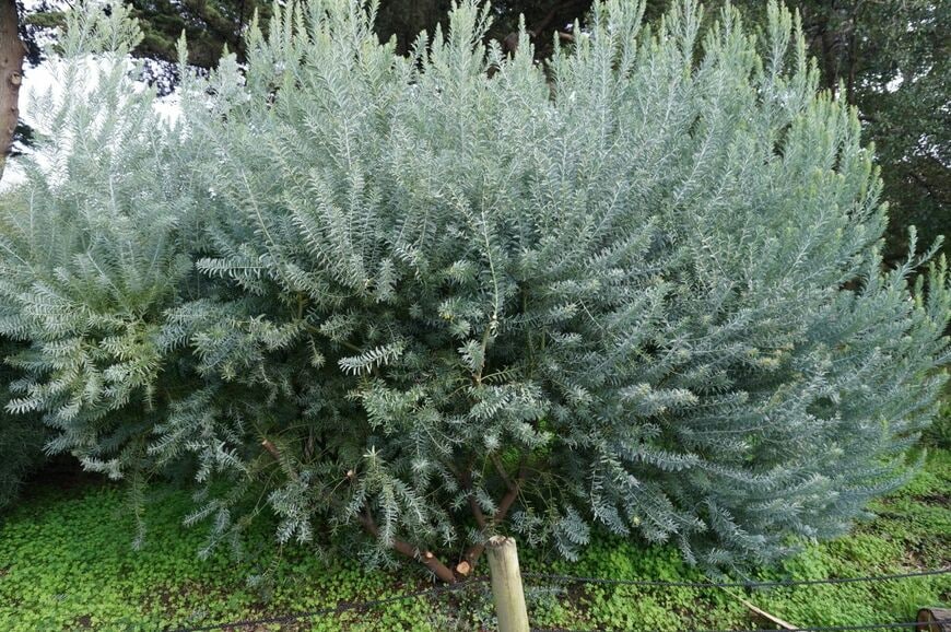 Vipul1989/shutterstock.com