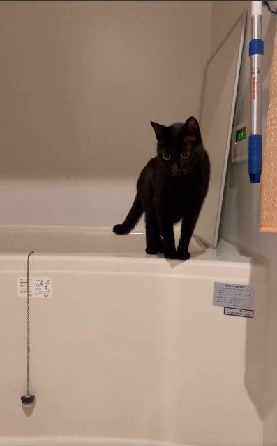 出所：＠Teagle_Noir